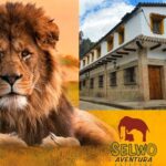 PAQUETE HOTEL + SELWO 2017