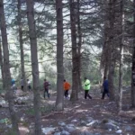 Hiking Trails in El Colmenar, Gaucín